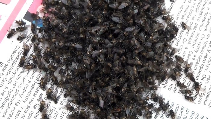 Вы забудете про мух если сделаете эту мухоловку из ПЭТ бутылки за 5 минут