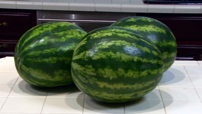 8 признаков которые помогут выбрать сахарный арбуз почти со 100 вероятностью