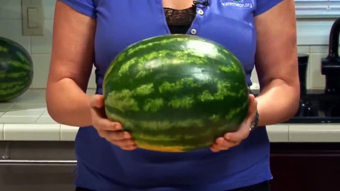 8 признаков которые помогут выбрать сахарный арбуз почти со 100 вероятностью