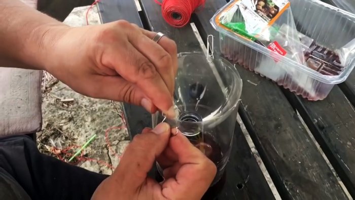 На вашем участке не останется мух если сделаете эту мухоловку из полторашки