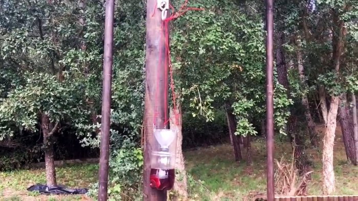 На вашем участке не останется мух если сделаете эту мухоловку из полторашки