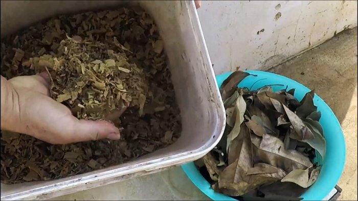 Растения растут прямо на глазах Как получить удобрение из отходов