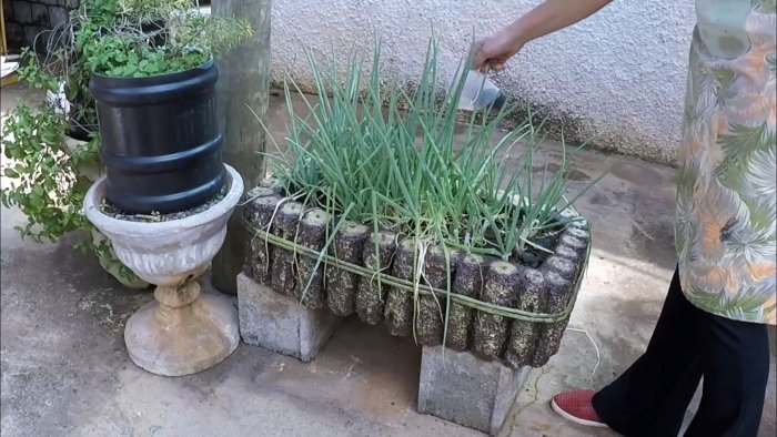 Растения растут прямо на глазах Как получить удобрение из отходов