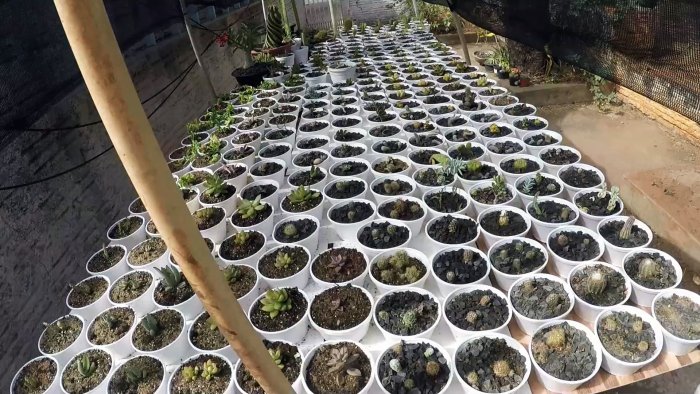 Растения растут прямо на глазах Как получить удобрение из отходов