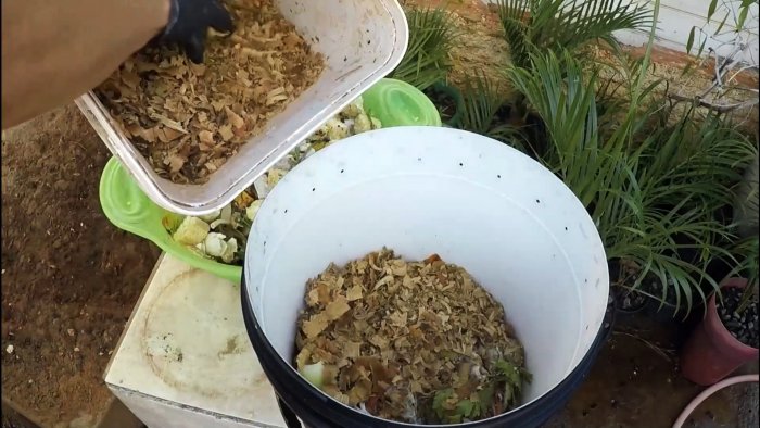 Растения растут прямо на глазах Как получить удобрение из отходов