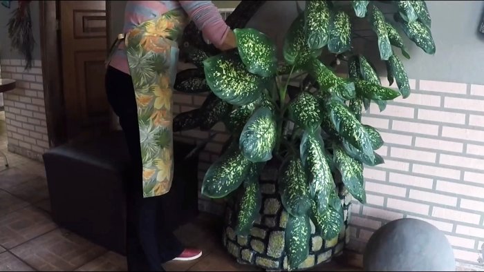 Растения растут прямо на глазах Как получить удобрение из отходов