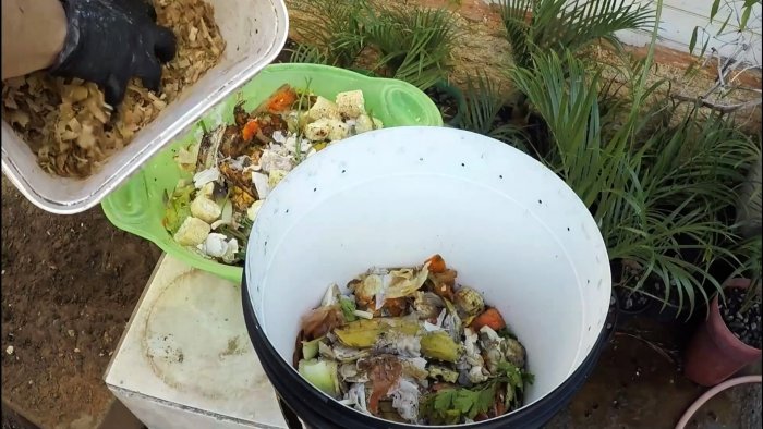 Растения растут прямо на глазах Как получить удобрение из отходов