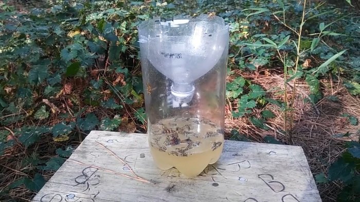 Прощайте осы Покажу как сделать ловушку из бутылки и забыть про ядовитых насекомых
