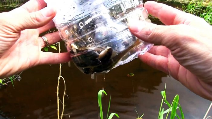 Как сделать уловистую ловушку для рыбы из ПЭТ бутыли