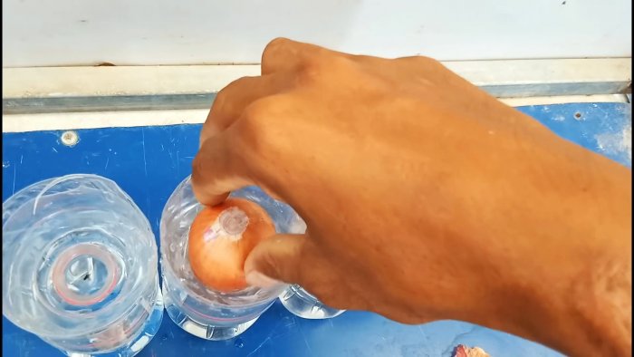 Новый супер способ выращивания лука на перо в бутылках