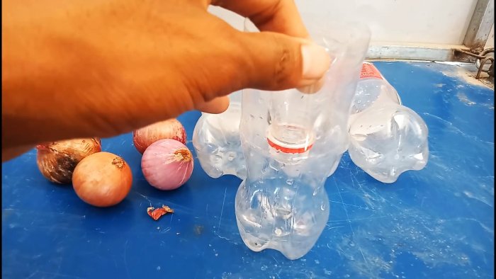 Новый супер способ выращивания лука на перо в бутылках