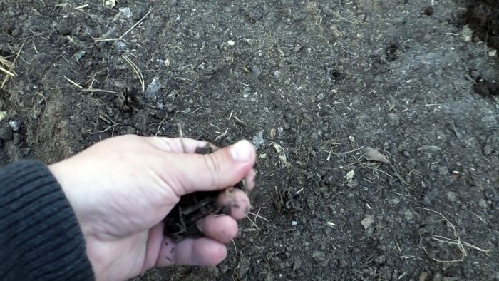 Хотите следующий летом получить небывалый урожай Тогда сделайте так