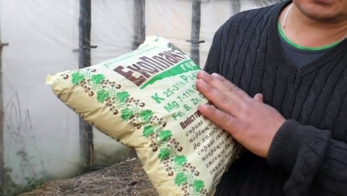 Хотите следующий летом получить небывалый урожай Тогда сделайте так