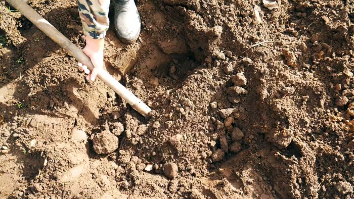 Как запечь 5 кг мяса в яме одним куском