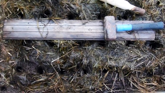 Выращиваю чеснок с кулак делюсь секретом