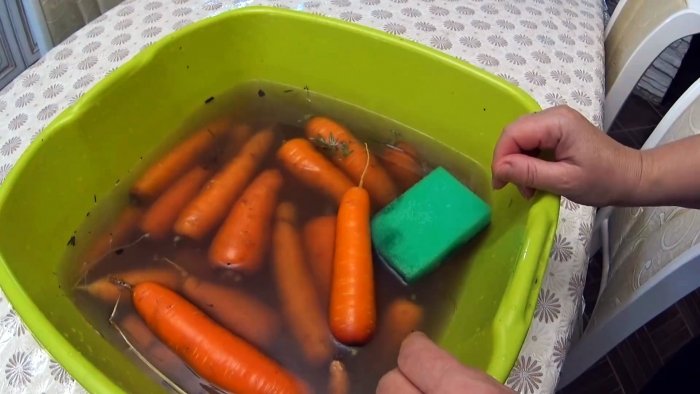 Проверенный годами надежный способ хранения моркови и свеклы