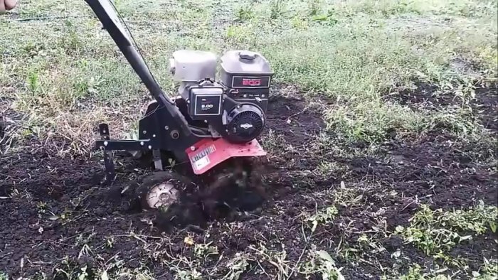 Как сажать лук под зиму чтобы получить рекордный урожай