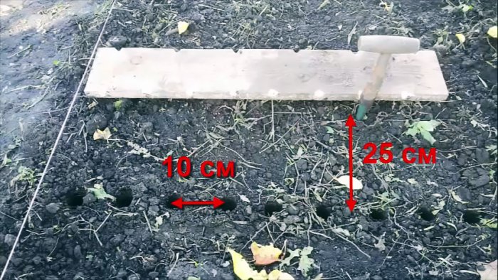 Как сажать лук под зиму чтобы получить рекордный урожай
