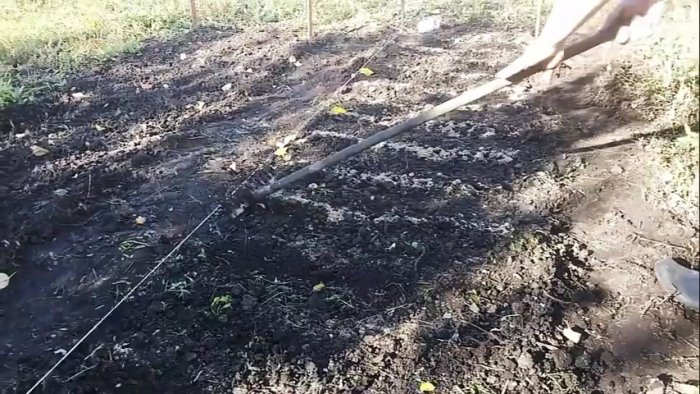 Как сажать лук под зиму чтобы получить рекордный урожай