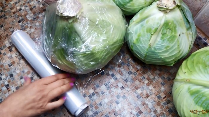 100 способ сохранить капусту до следующего урожая в погребе подвале на чердаке или балконе