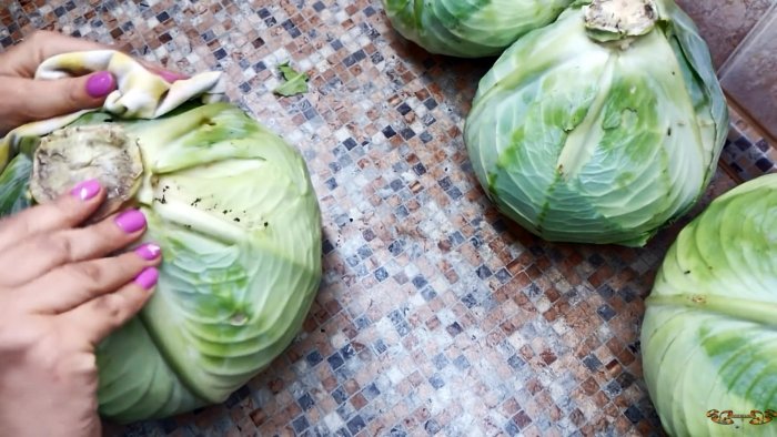 100 способ сохранить капусту до следующего урожая в погребе подвале на чердаке или балконе