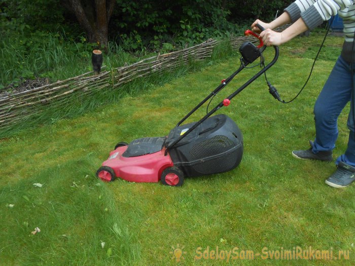 Чтоб газон был как в кино делайте правильный уход стрижка подкормка аэрация