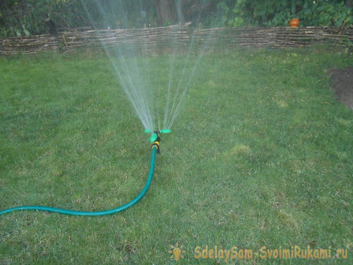 Чтоб газон был как в кино делайте правильный уход стрижка подкормка аэрация