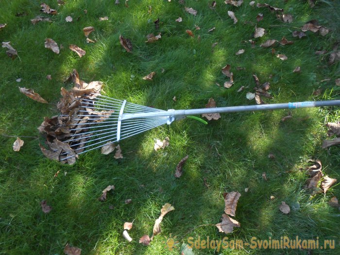 Чтоб газон был как в кино делайте правильный уход стрижка подкормка аэрация