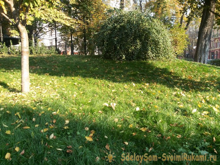 Чтоб газон был как в кино делайте правильный уход стрижка подкормка аэрация