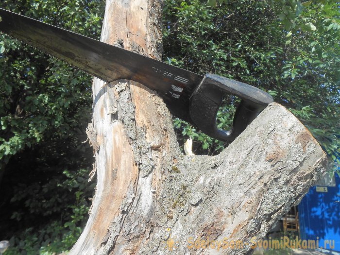 Правильная санитарная обрезка сада и почему это полезно делать осенью