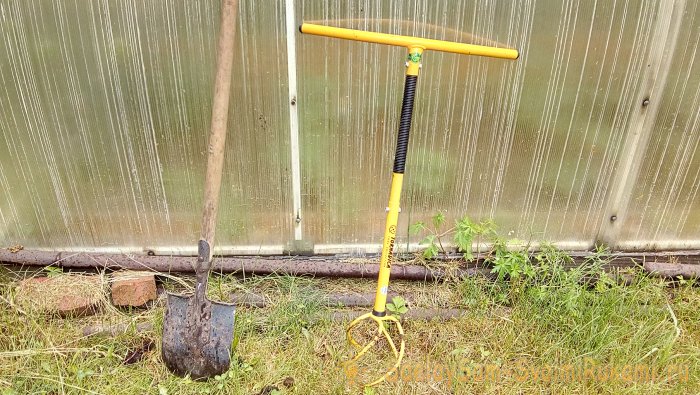 Интересный способ посадки роз в Сибири