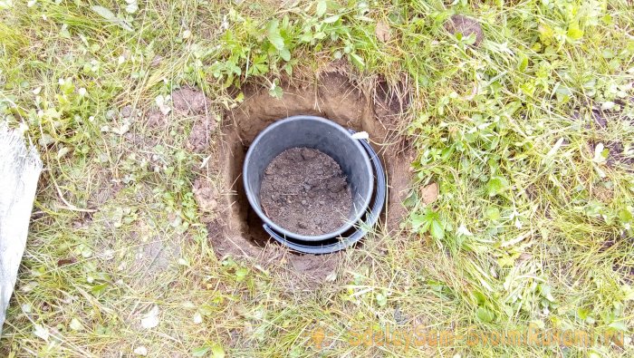 Интересный способ посадки роз в Сибири