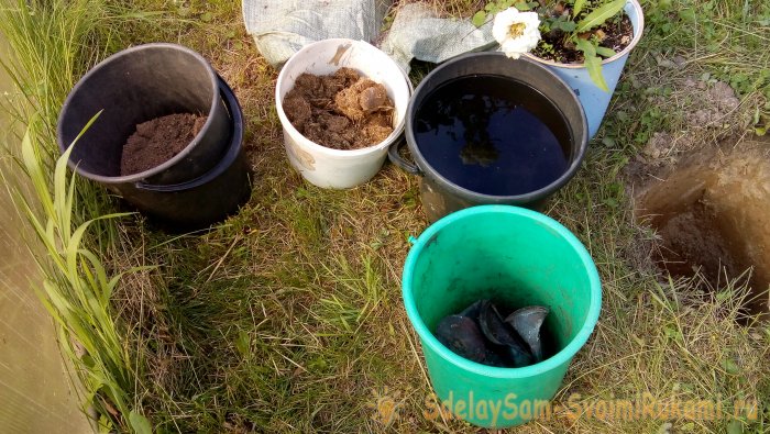 Интересный способ посадки роз в Сибири