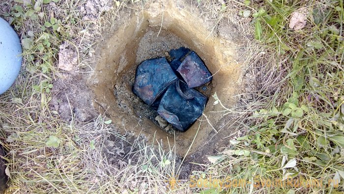 Интересный способ посадки роз в Сибири