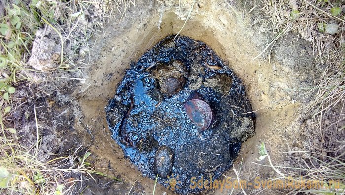 Интересный способ посадки роз в Сибири