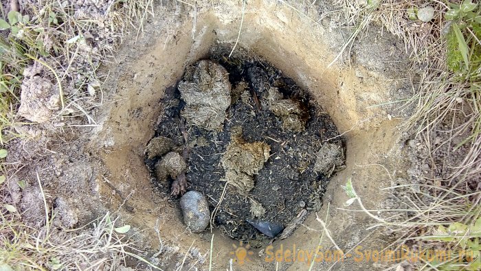 Интересный способ посадки роз в Сибири