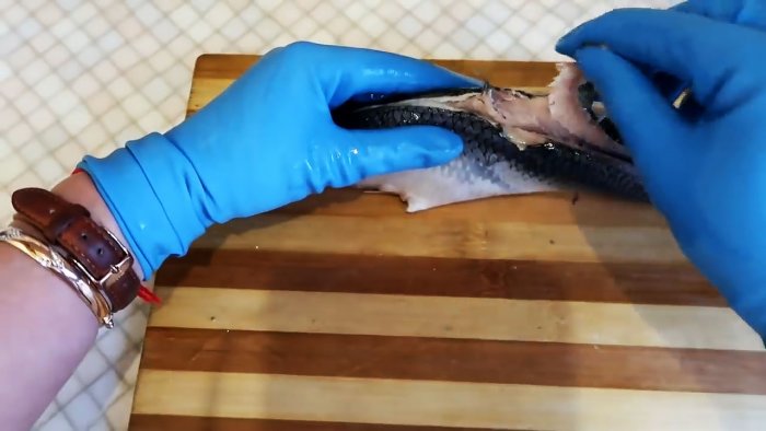 вырывается спинной плавник у рыбы