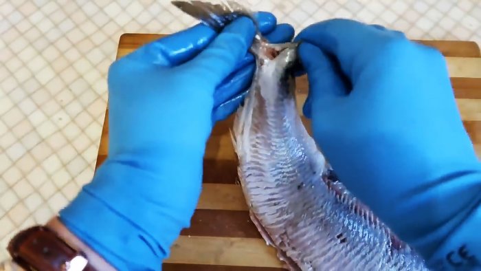 тушка за половинки хвостового плавника разрывается пополам