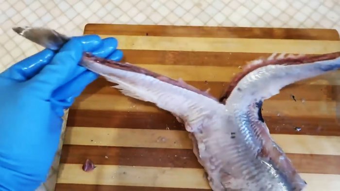 Селедка за половинки хвостового плавника разрывается пополам