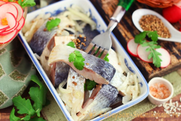 Сельдь засоленная в горчице быстро за сутки