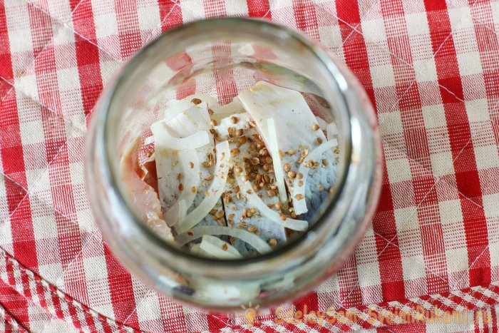 Сельдь укладываем в банку с луком и пряностями