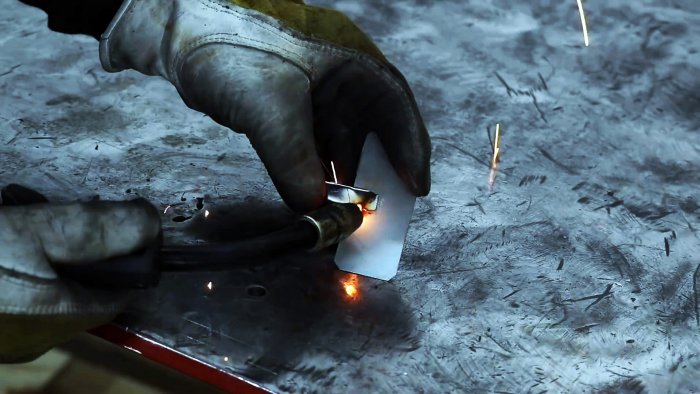 На губках небольшого крокодила