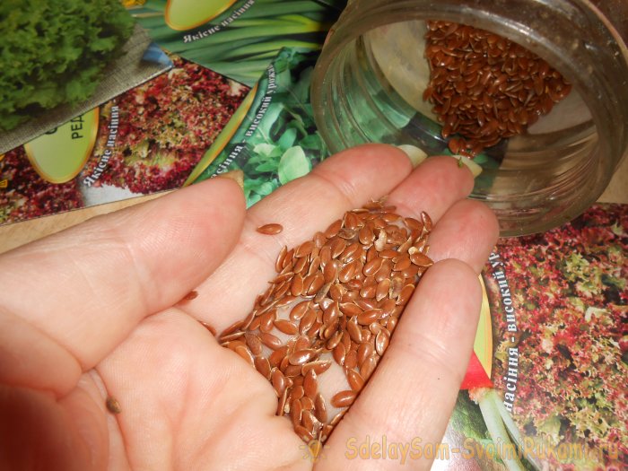 Микрозелень в домашних условиях