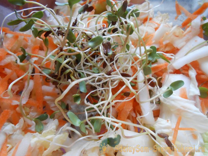 Микрозелень в домашних условиях