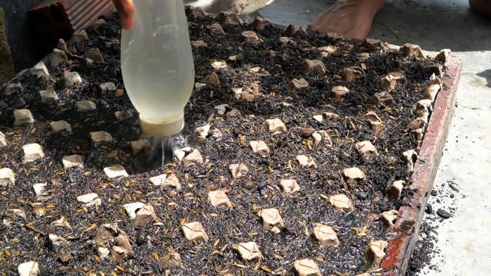 Как при помощи ПЭТ бутылок за полтора месяца вырастить запас шпината на весь год