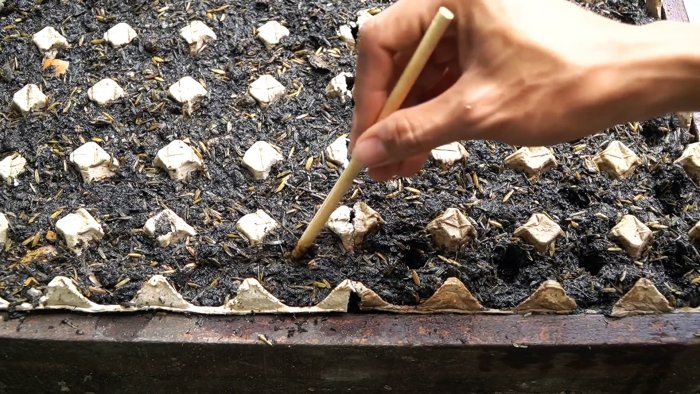 Как при помощи ПЭТ бутылок за полтора месяца вырастить запас шпината на весь год