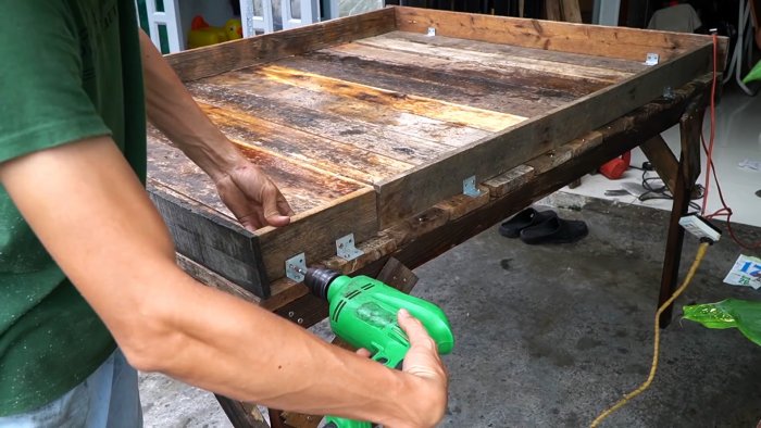 Как при помощи ПЭТ бутылок за полтора месяца вырастить запас шпината на весь год