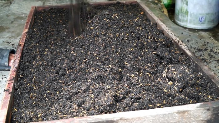 Как при помощи ПЭТ бутылок за полтора месяца вырастить запас шпината на весь год