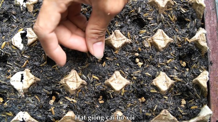 Как при помощи ПЭТ бутылок за полтора месяца вырастить запас шпината на весь год