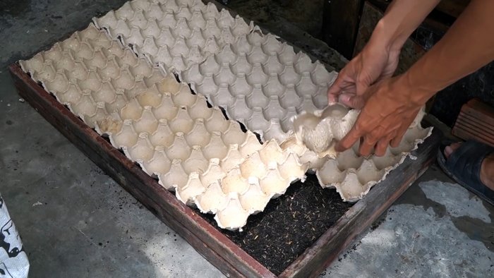 Как при помощи ПЭТ бутылок за полтора месяца вырастить запас шпината на весь год